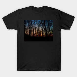 Forest Sunset T-Shirt